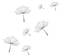 Sesión de evaluación