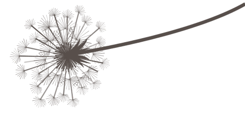 reconociendo tu valentia