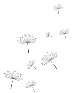 trayectoria